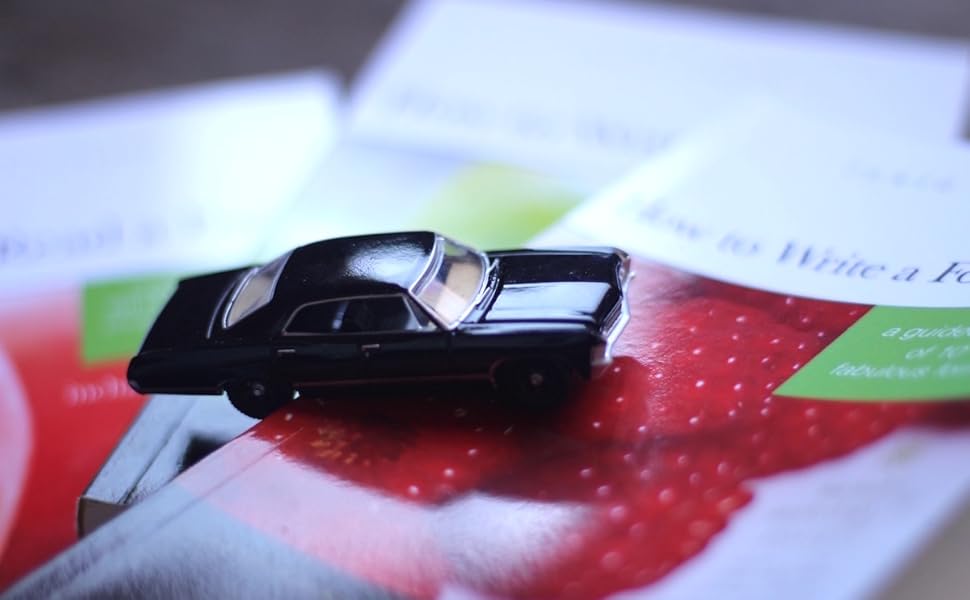 how to write a poem, how to write poetry, poetry textbook, poetry teaching, write poems for her