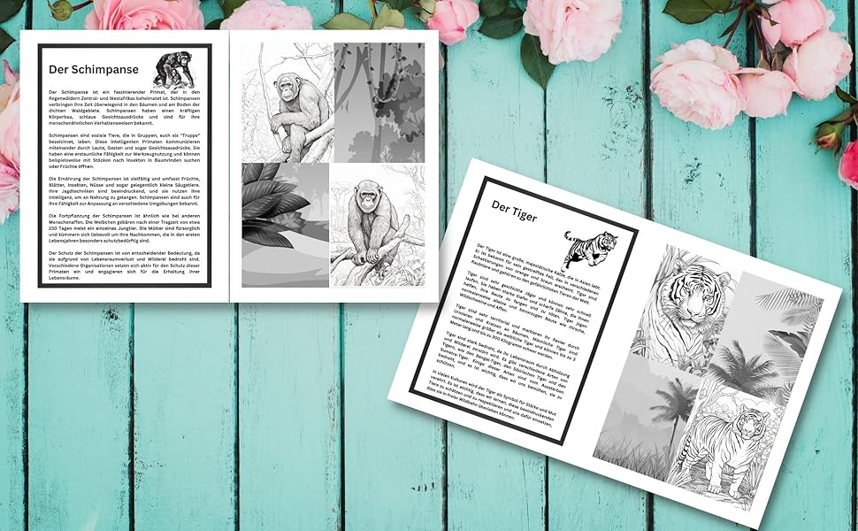 Ausmalen verbindet: Kreative Reise um die Welt mit Ausmalbildern für Groß und Klein