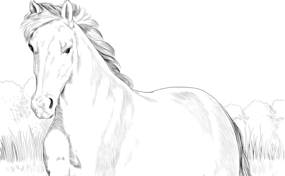 horses running wild free coloring book a fun collection of unique horse designed scenes for kids to color draw lovin sean edward 9798408211999 amazon com books
