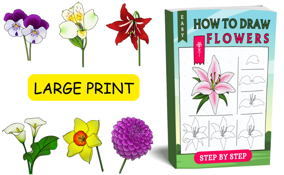 How to Draw Flowers For Beginners Step By Step Flowers Drawing For