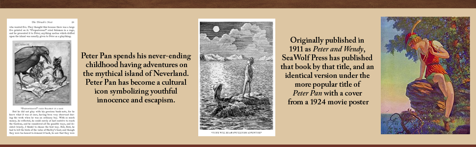 Peter Pan and Wendy 英語 洋書 英国有名イラストレーター挿絵 Peter Pan and Wendy 英語 洋書 英国有名イラストレーター挿絵