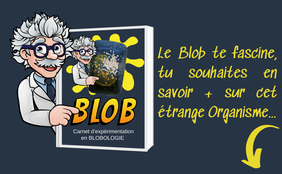 Blob Kit Vivant de Culture, 3 Blobs (Jaune et Orange) + Labyrinthe et  colorants d'expérimentation + Guide Complet, Élevage Français Premium