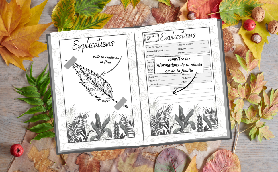 Mon Herbier Page De Garde Herbier à Imprimer www.amazon.fr