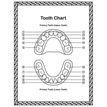 Dental Anatomy Coloring Book, Human Body Anatomy Coloring Book, Teeth Anatomy Coloring Bok