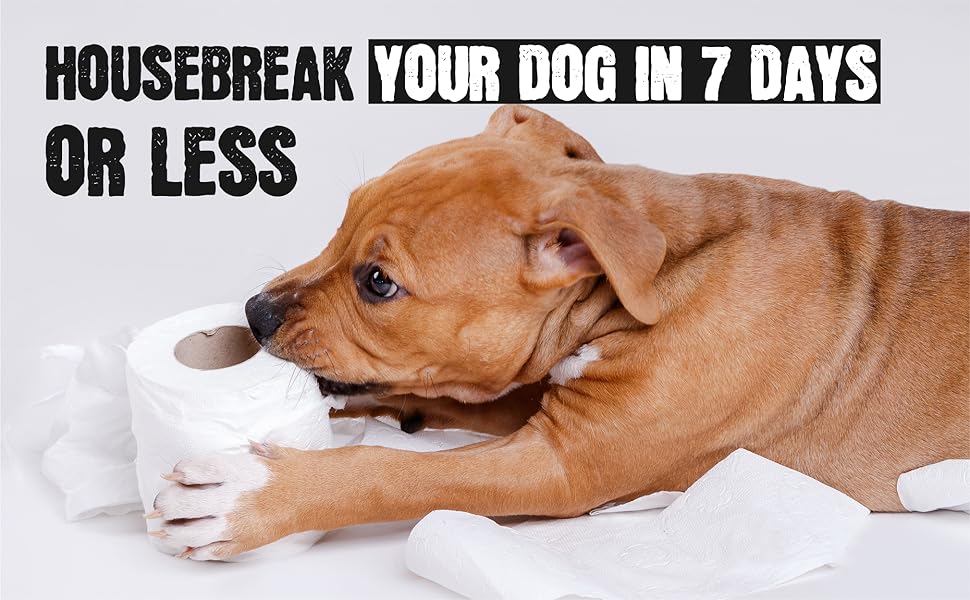 One Week Puppy Training How To Housebreak Your Dog In 7 Days Step by