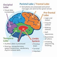 Understanding the Changing Brain: A Positive Approach to Dementia Care ...