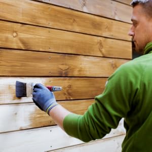 Windows, Cabinets, or Bathroom?