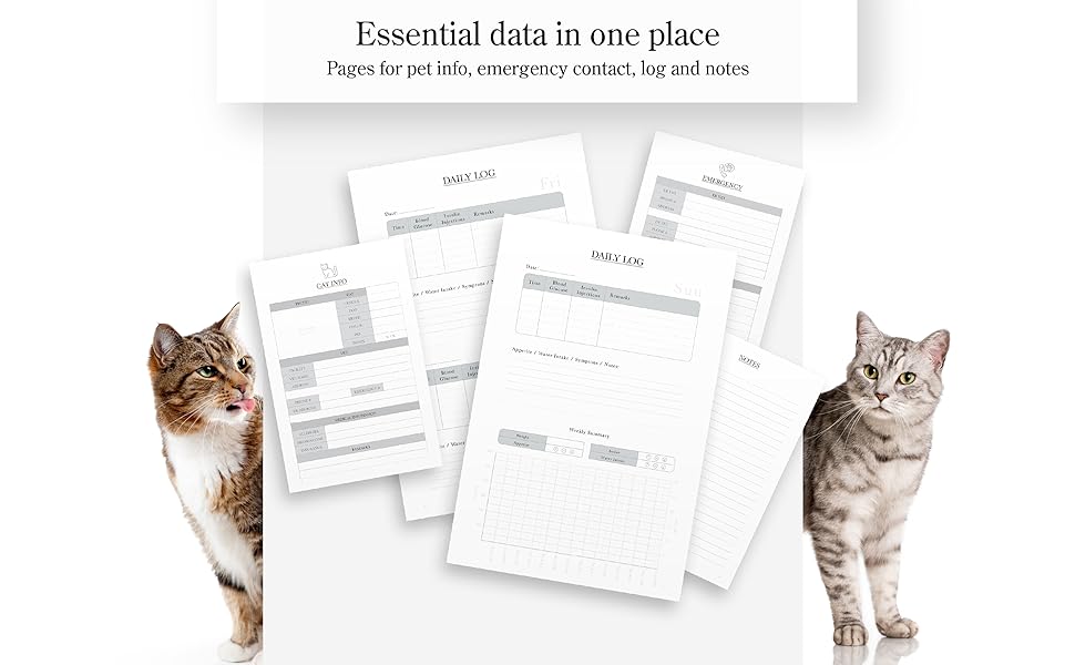 Cat blood sugar Record Book