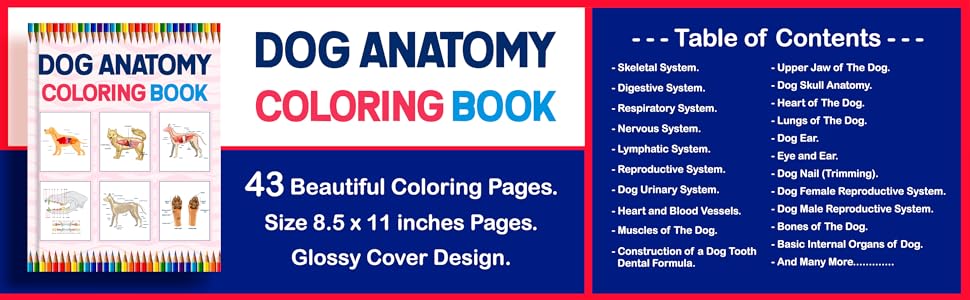 Dog Anatomy Coloring Book