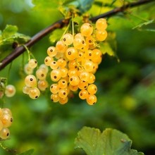 Small manufacture image 9