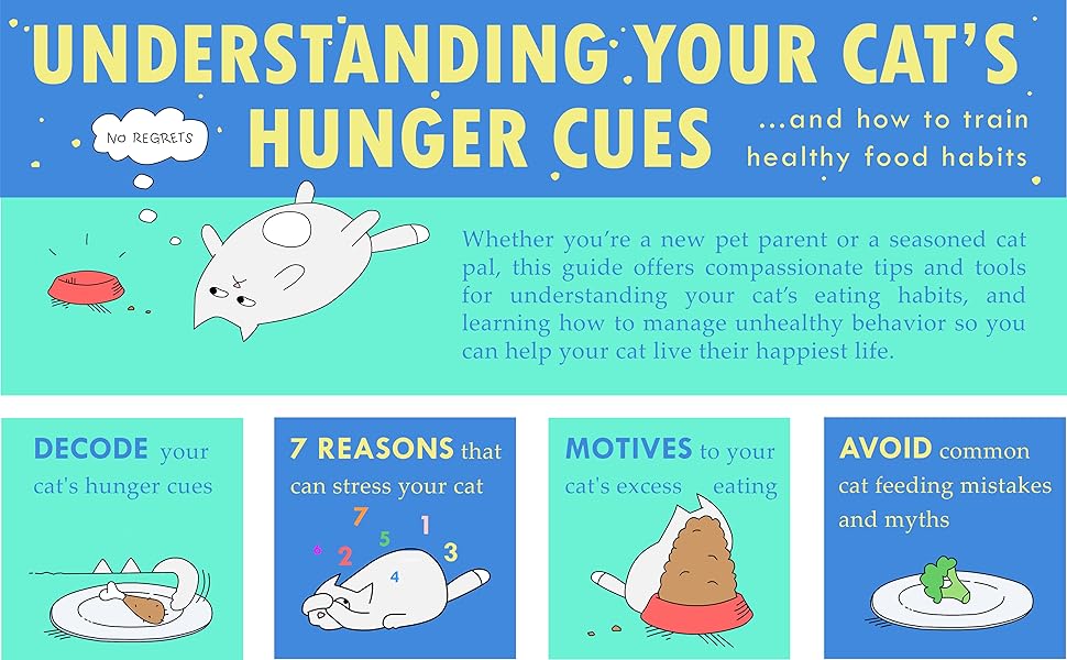 WHY IS MY CAT SO HUNGRY? How to Train Healthy Food