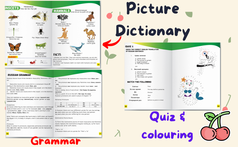 Russian English Picture Dictionary: Learn Over 500+ Russian Words