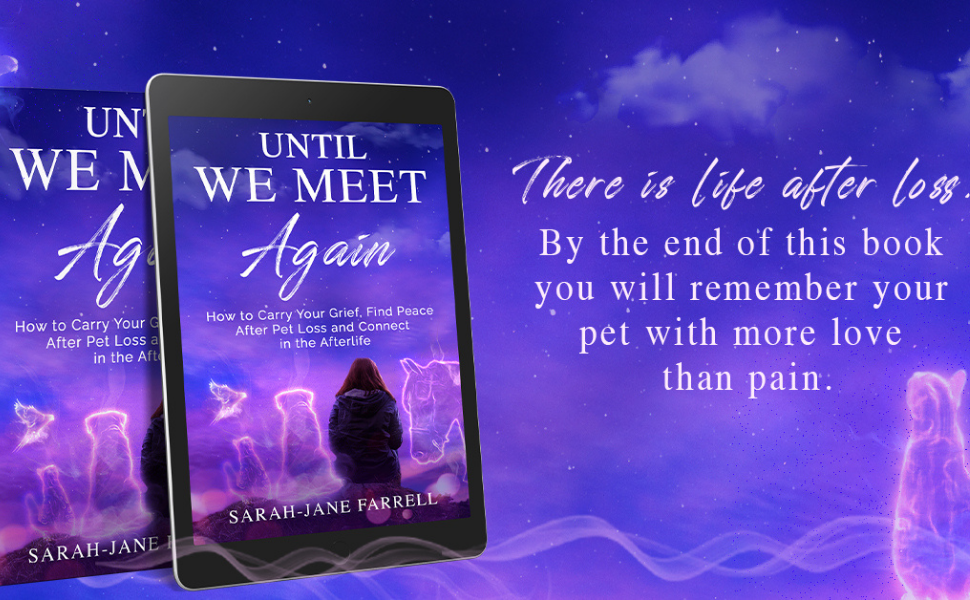 Until we Meet Again How to carry your grief, find peace after pet loss