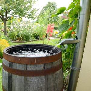 water barrel drum container