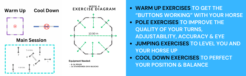 horse training, horse training books, horse jumping exercises, pole exercises for horses, show jump