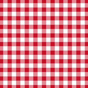 Baby-Q Baby Shower Guest Book BBQ or Picnic Theme Red White Gingham