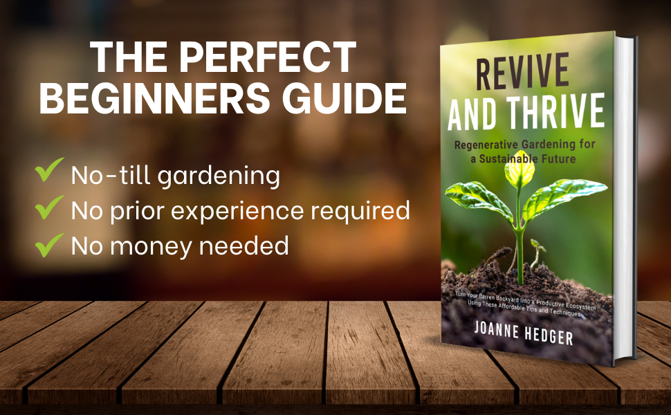 the perfect beginners guide to regenerative gardening