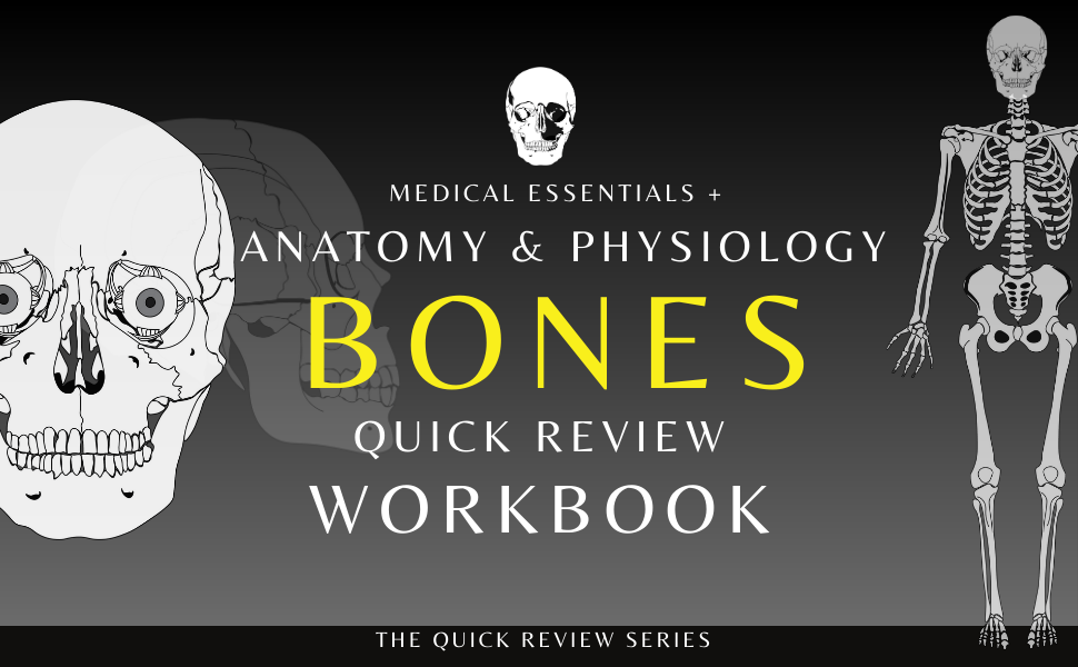 Anatomy and physiology quick review workbook
