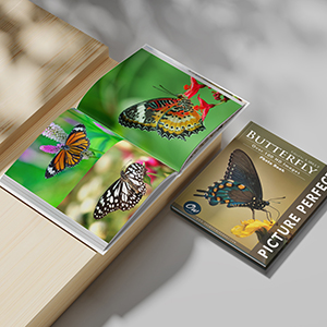 Butterfly: Picture Perfect Photo Book: World, Our, Arelt, A