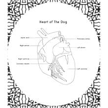 Dog Anatomy Coloring Book