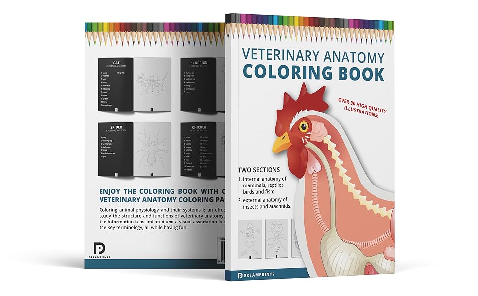 Veterinary Anatomy Coloring Book