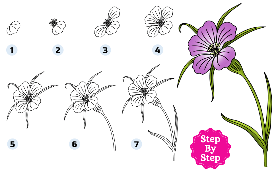 How to Draw Flowers For Beginners Step By Step Flowers Drawing For