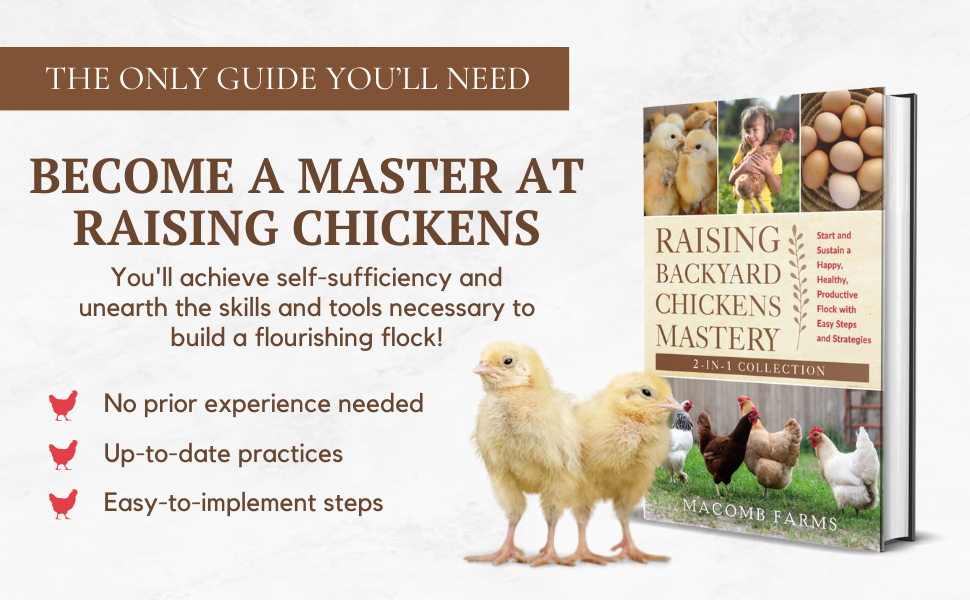 Raising Backyard Chickens Mastery Start And Sustain A Happy, Healthy
