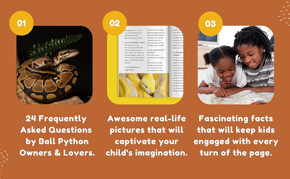 Fun Facts About Ball Python: 24 Frequently Asked Questions by Python ...