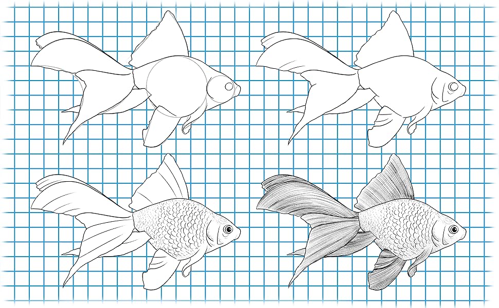 This Drawing Guide Easy Way to Learn How to Draw