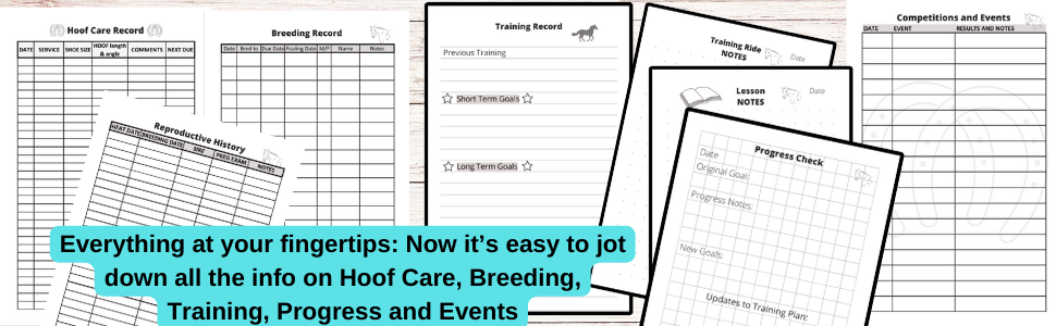 All info on your horse care