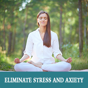 somatic therapy, somatic exercises, somatic yoga, somatic therapy workbook