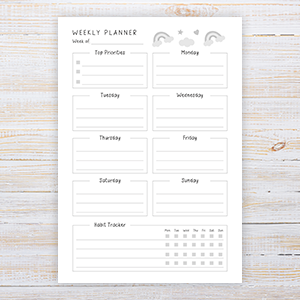 planner for adhd kids