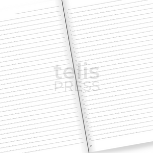 Coding Notes: Coding Notebook with Indented Lines for Developers ...