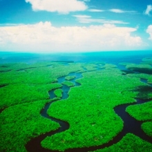 Everglades National Park