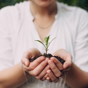 Perfect for Beginners