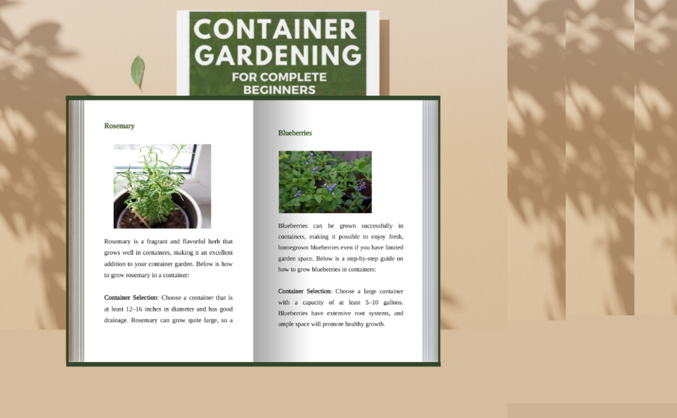 Container Gardening for Complete Beginners How to Successfully Grow
