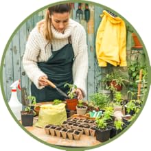 how to grow your own medicine, grow your own medicine, natural remedies, natural remedy book, herbs