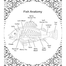 Fish Anatomy Coloring Book