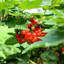 Small manufacture image 7