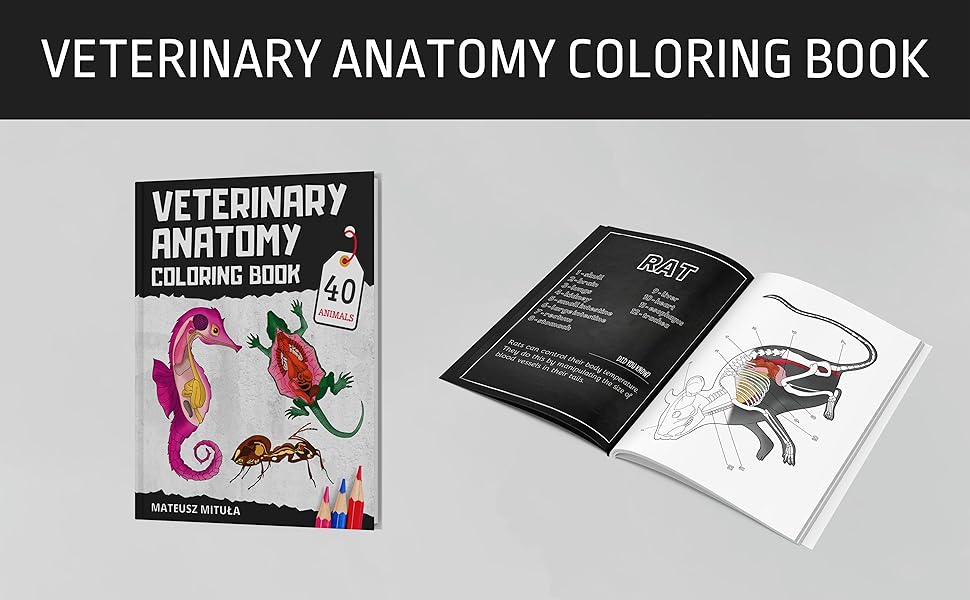 veterinary anatomy coloring book