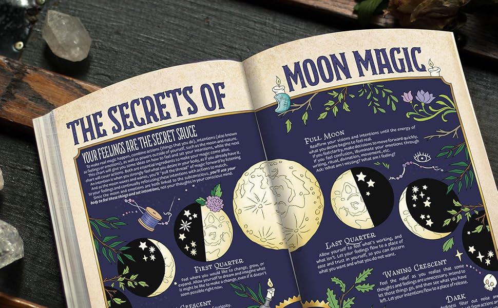 Planner for a Magical 2023 Full Color Cesari, Amy, Cesari, Amy