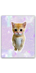 Amazon.com: Sad Cat Meme Notebook: Retro Checkerboard Pastel