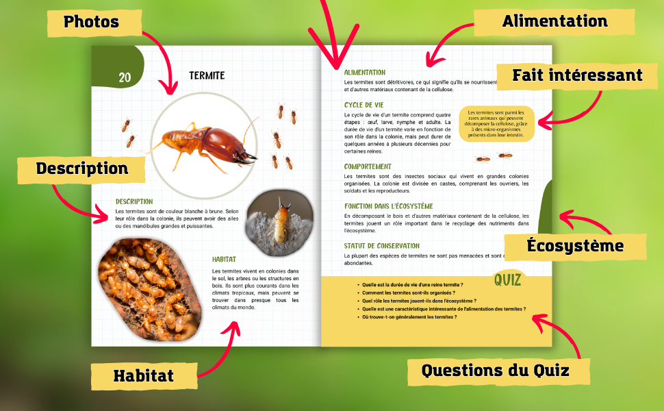 Le livre des insectes du jardin pour enfants Guide pour découvrir et observer les insectes avec
