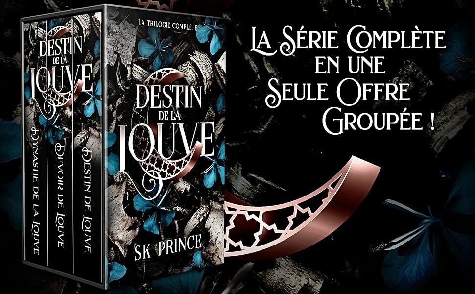 Une Romance Fantastique Typique Scan Vf www.amazon.fr