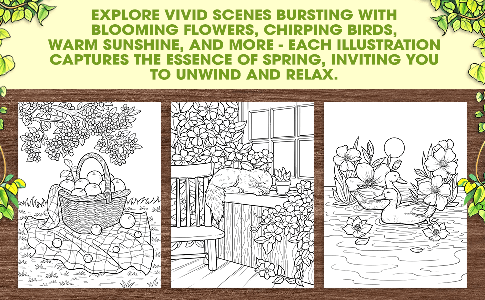 bold and easy coloring book