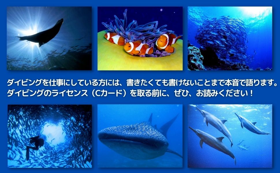 スキン・スク-バダイビング 入門編/マリン企画（大型本） さるでもできるダイビング: ダイビングを始めたい人は