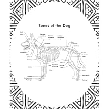 Dog Anatomy Coloring Book,