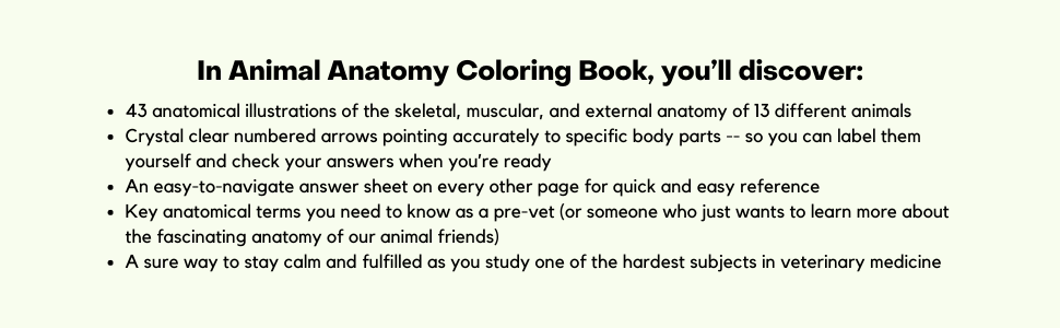 Animal Anatomy Coloring Workbook