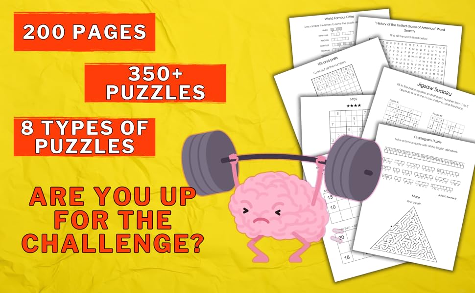 AIRPLANE PUZZLES Book, the Ultimate Collection 350+ Brain Teasers