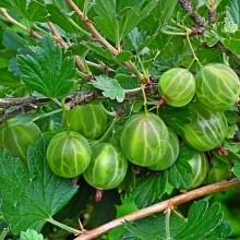 Small manufacture image 6